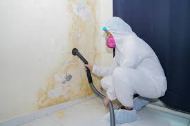 Best HVAC Mold Inspection and Cleaning  in Cairo, IL